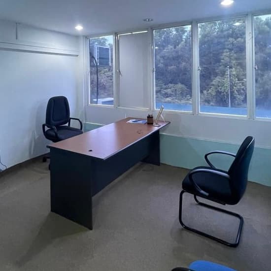 Corporate Advisory Services